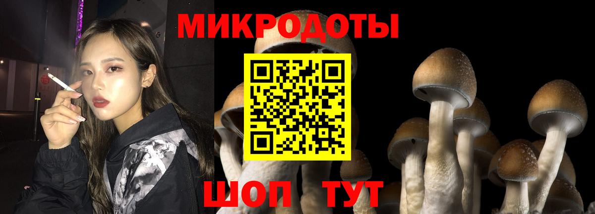 Псилоцибиновые грибы GOLDEN TEACHER  Вход с VPN  Смоленск 